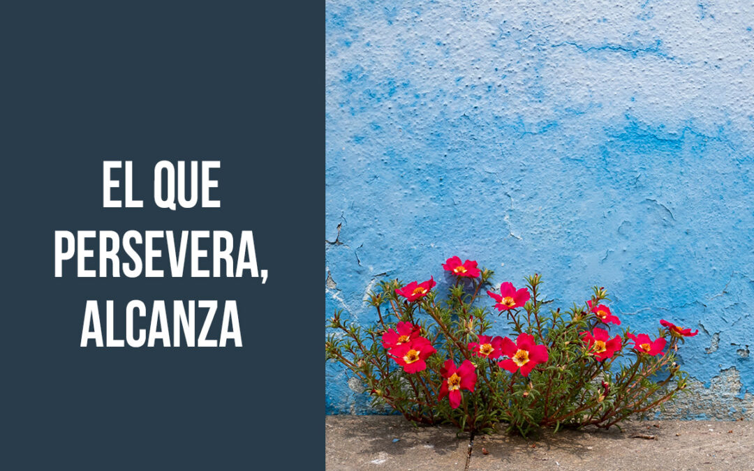 El que persevera, alcanza