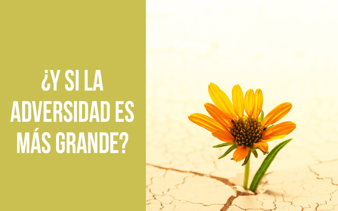 ¿Y si la adversidad es más grande?