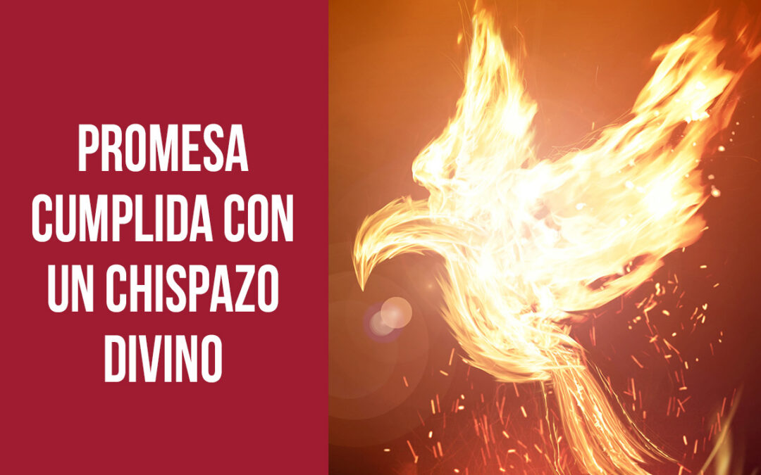 Promesa cumplida con un chispazo divino