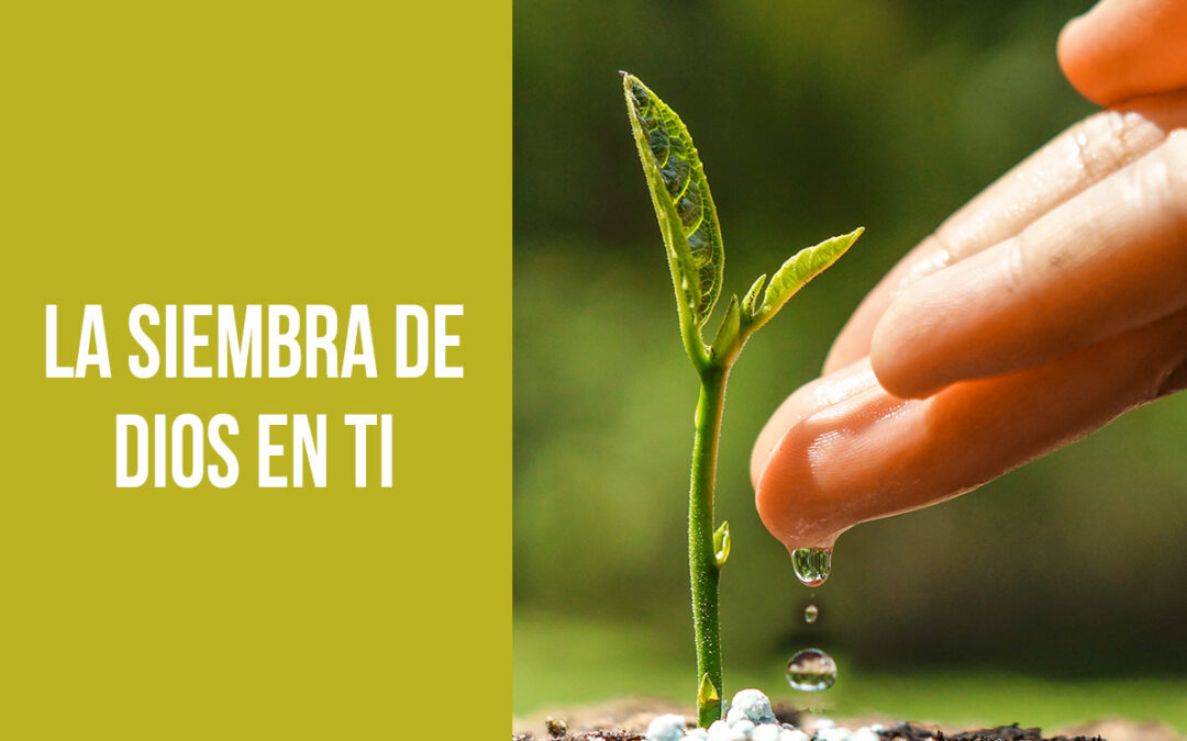 La siembra de Dios en ti
