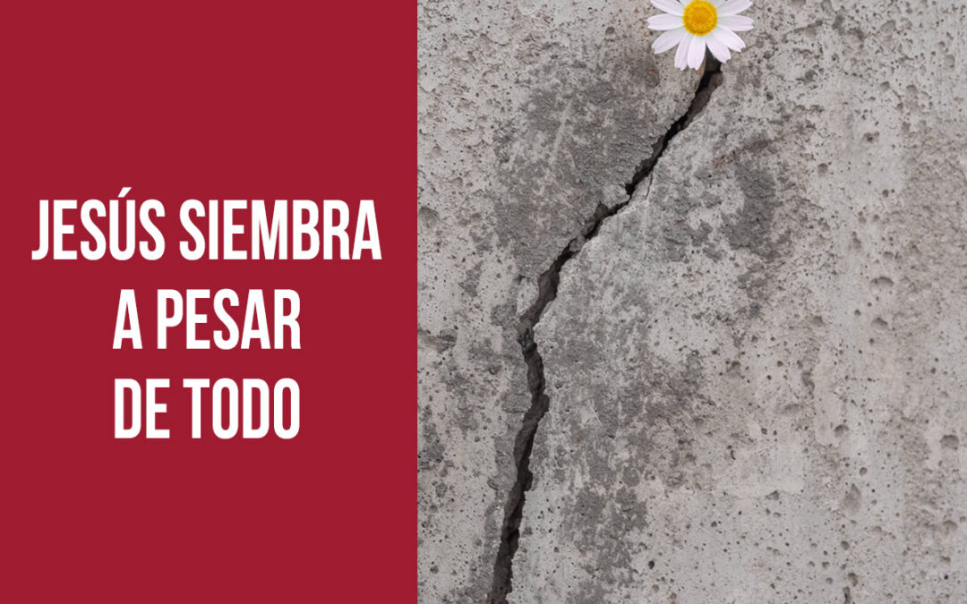 Jesús siembra a pesar de todo